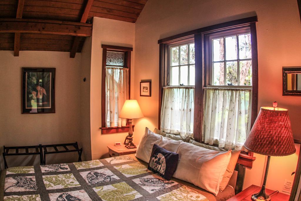Ferny Hollow: Romantic Rainforest Cottage Volcano Εξωτερικό φωτογραφία