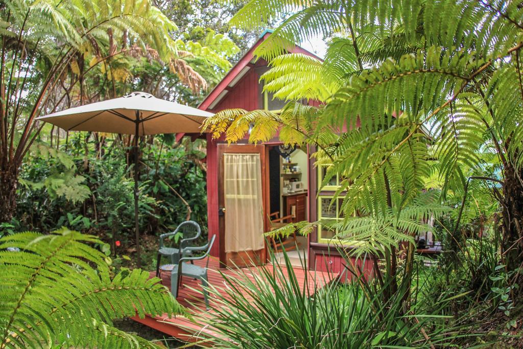 Ferny Hollow: Romantic Rainforest Cottage Volcano Εξωτερικό φωτογραφία