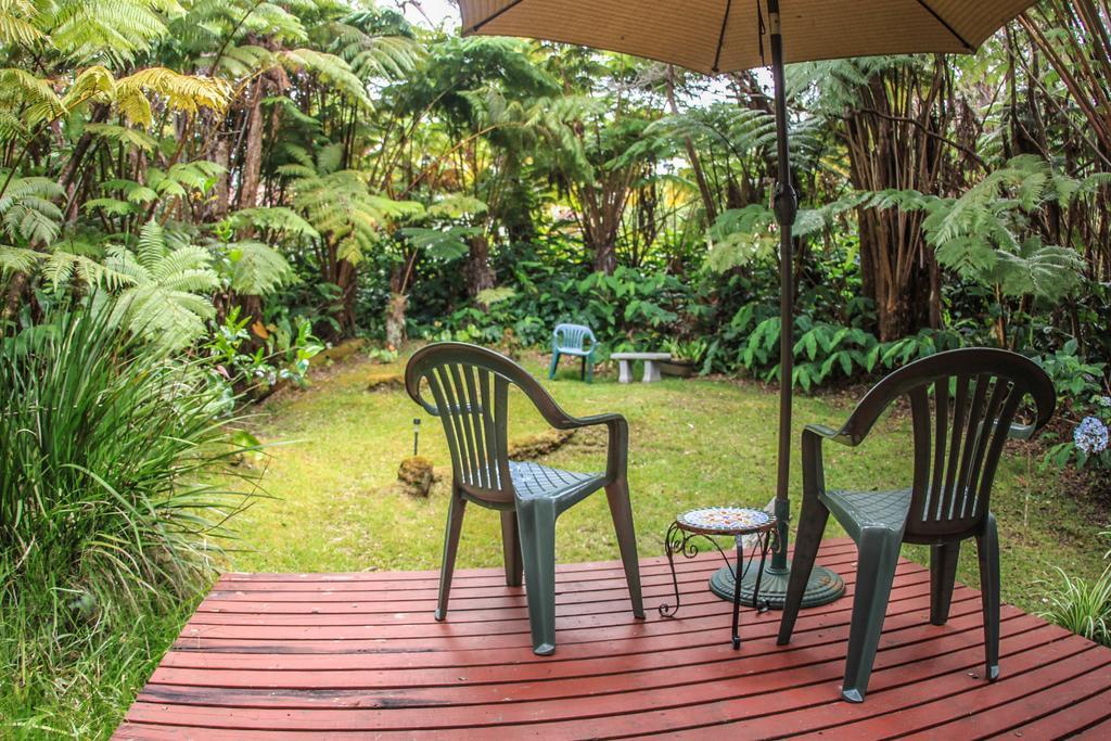 Ferny Hollow: Romantic Rainforest Cottage Volcano Εξωτερικό φωτογραφία