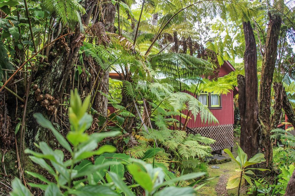 Ferny Hollow: Romantic Rainforest Cottage Volcano Εξωτερικό φωτογραφία
