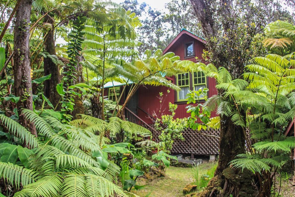Ferny Hollow: Romantic Rainforest Cottage Volcano Εξωτερικό φωτογραφία