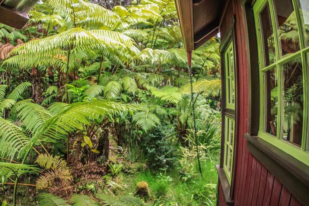 Ferny Hollow: Romantic Rainforest Cottage Volcano Εξωτερικό φωτογραφία